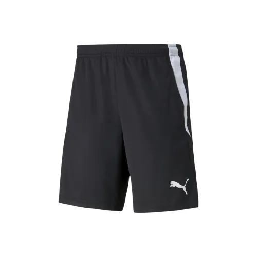 PUMA TeamLIGA 2 Спортивные шорты Мужские Черные