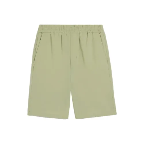 AMIPARIS Повседневные шорты Мужские Зеленые