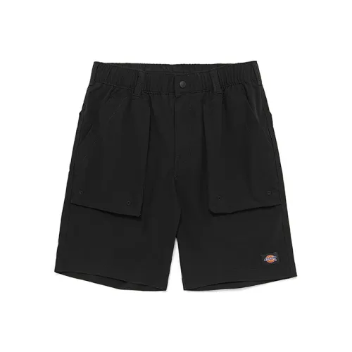 Dickies SS22 Повседневные шорты Мужские