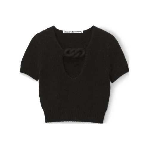 alexander wang Черные Женские Рубашки