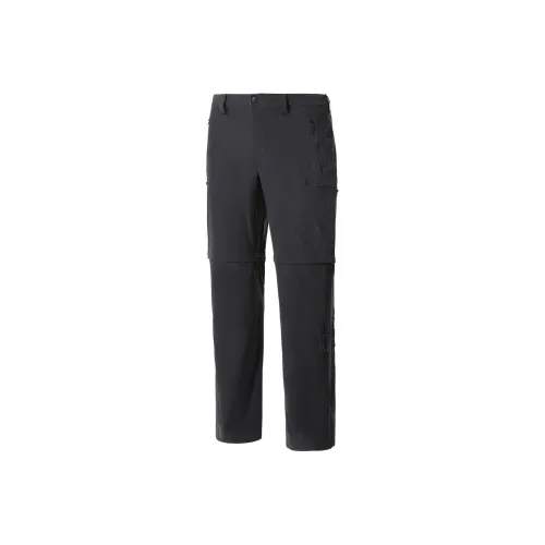 The North Face Серые Мужские Спортивные Брюки