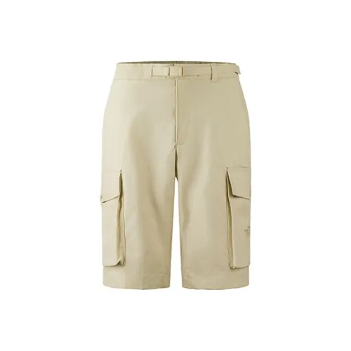 THE NORTH FACE Urban Exploration Повседневные шорты Мужские Гравийно-песочный