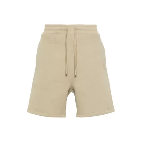 AMIPARIS Повседневные шорты Мужские Шалфейно-зеленый