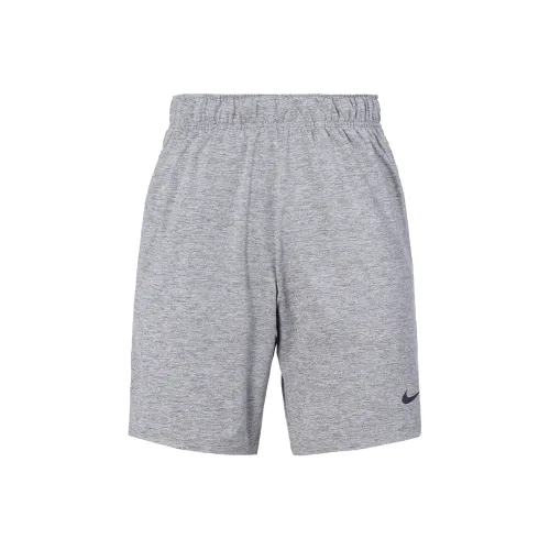 Nike Серые Спортивные Шорты для Мужчин