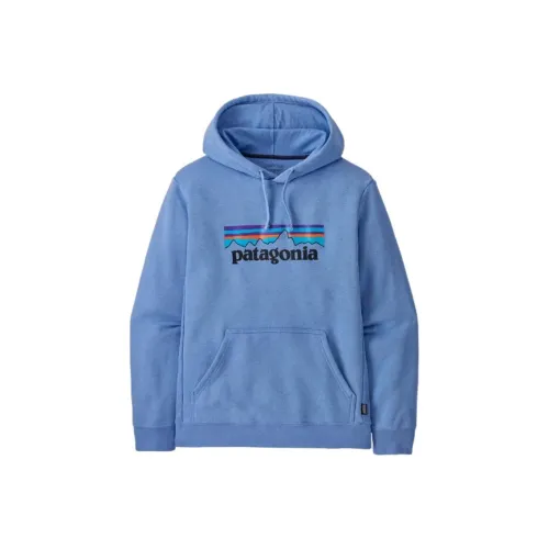 Patagonia Свитшот Мужской Синий