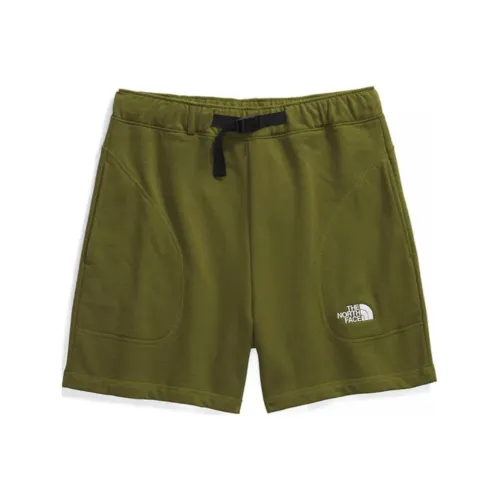 THE NORTH FACE Зеленые Мужские Спортивные Шорты