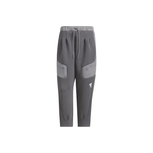 Adidas Темно-серый/Серый Мужские Повседневные Штаны