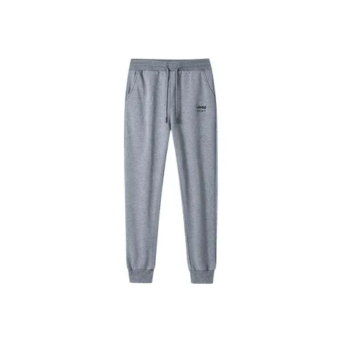 JEEP SPIRIT Мужские спортивные брюки