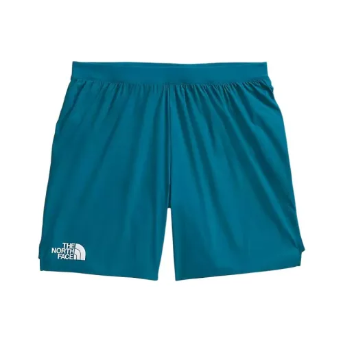 The North Face Синий Мужские спортивные шорты