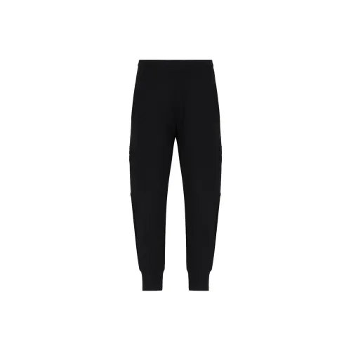 EMPORIO ARMANI Черные Мужские Спортивные Брюки