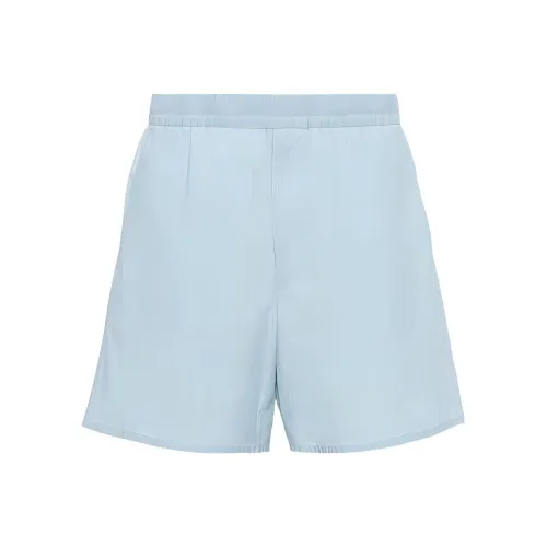 PRADA SS24 Повседневные шорты Мужские Небесно-голубые
