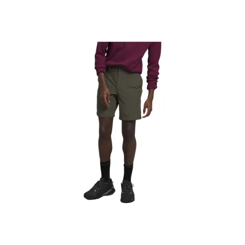 THE NORTH FACE Мужские шорты Paramount повседневные мужские цвет тауповый