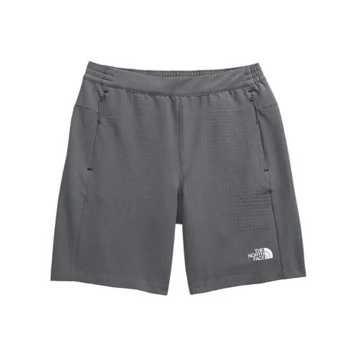 The North Face Серые Мужские Спортивные Шорты