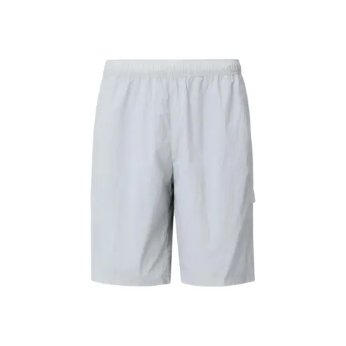 HELLY HANSEN ARCV Мужские Повседневные Шорты