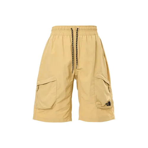 The North Face Мужские D4 Городские Шорты AP Хаки Камень Повседневные Шорты Мужские Хаки