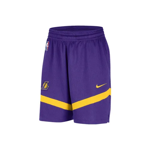 Мужские баскетбольные шорты Nike темно-фиолетовые