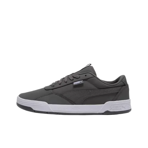 PUMA Skate C Buck Аbrasion Resistant Низкие Кроссовки для скейтбординга Унисекс Серые