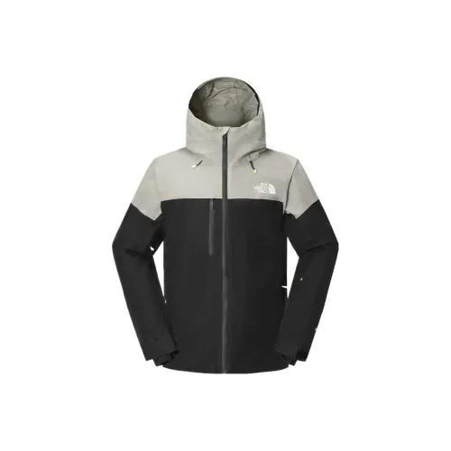 THE NORTH FACE Gore Te SKI Топ Мужской Серый