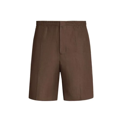 Ermenegildo Zegna Кофейно-коричневые Мужские Повседневные Шорты