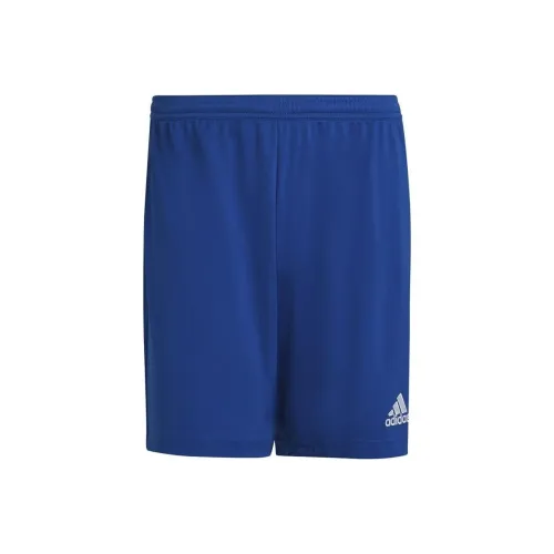 Adidas Blue Мужские спортивные шорты