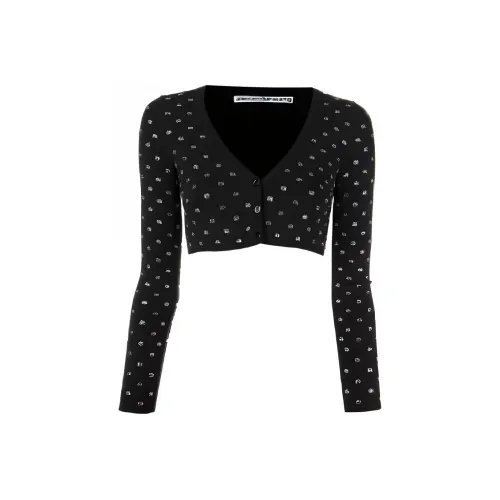 Alexander Wang FW22 Трикотаж Женский Черный