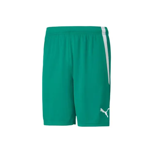 PUMA Зеленые Спортивные Шорты для Мужчин