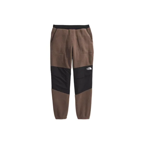 THE NORTH FACE DENALI Мужские Ретро DENALI Брюки Повседневные Брюки Мужские Дымчатый Коричневый Черный