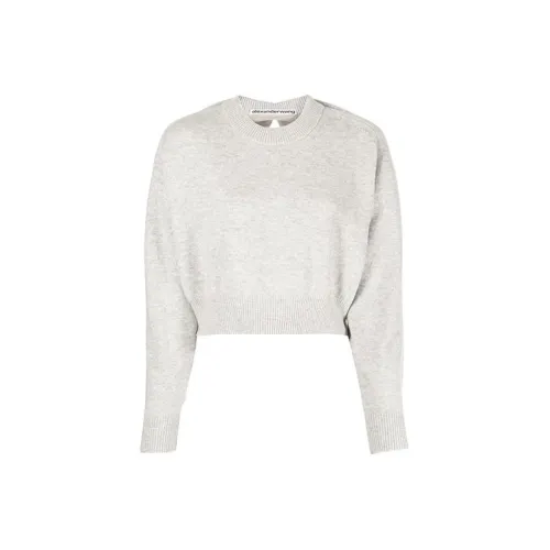 alexander wang Серые Женские Свитеры