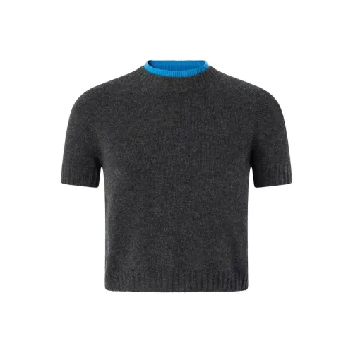 PINKO SS24 Свитер Женский Серый