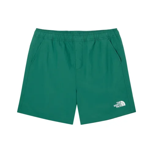 The North Face THE NORTH FACE Apparel Collection Повседневные шорты Унисекс Темно-зеленый