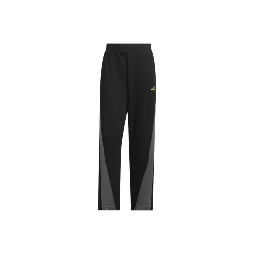 Adidas Мужские спортивные брюки черного цвета
