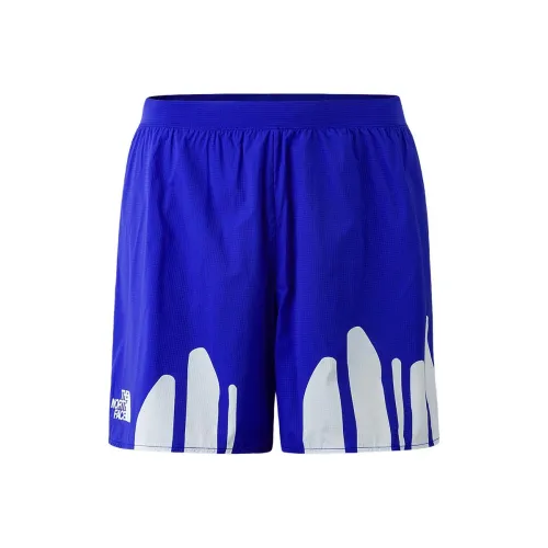 The North Face City Outdoor Collection Синий Мужские спортивные шорты