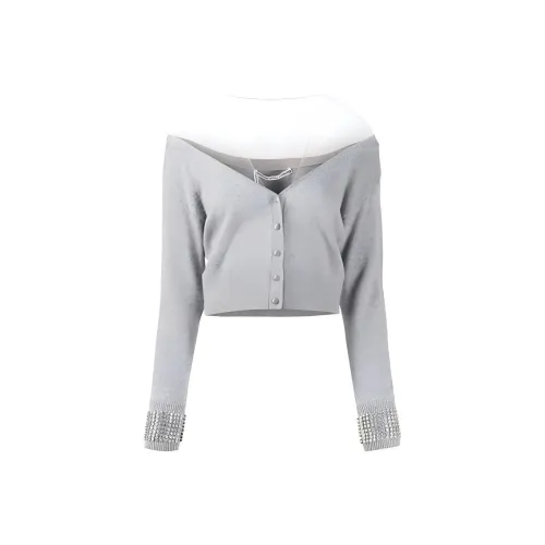 alexander wang Серые Женские Свитеры