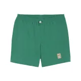 Тёмно-зелёный