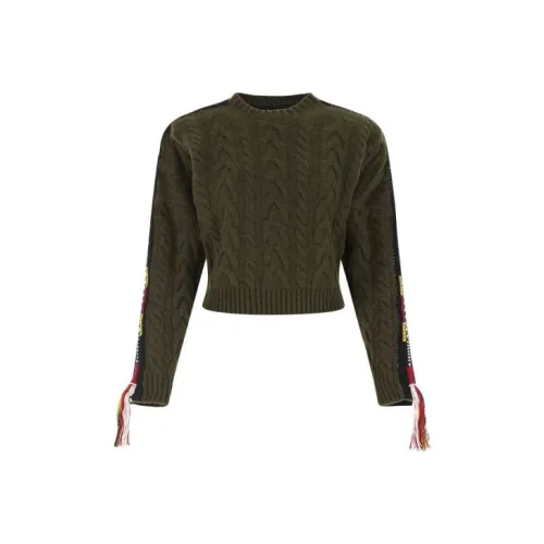 ETRO Армейский зеленый Женские Свитеры