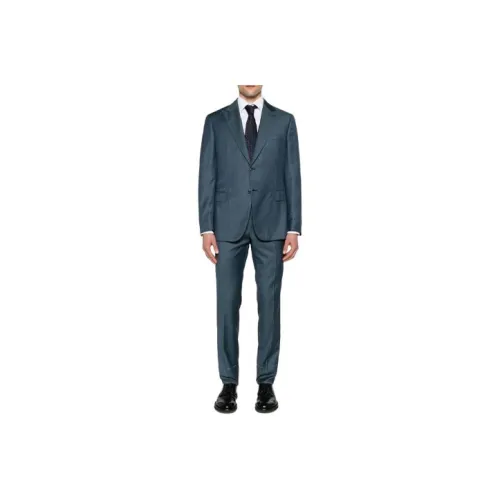 Brioni Protea Синий Мужской Деловые костюмы