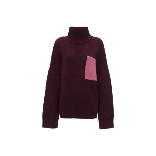 JW Anderson Фиолетовые Женские Свитеры