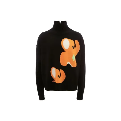 JW Anderson Черные Женские Свитеры