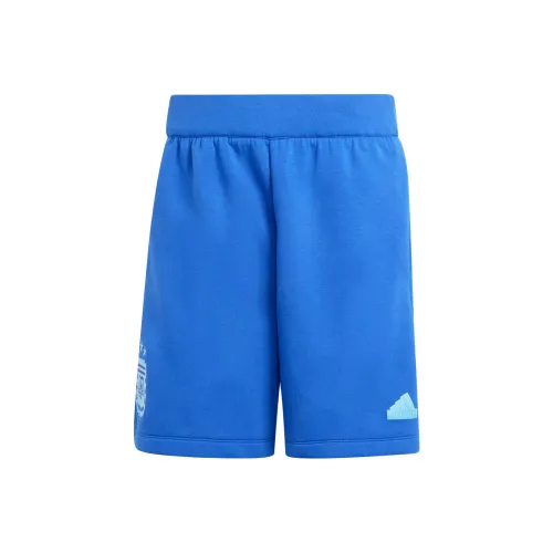 Adidas Argentina Cobalt Blue Мужские спортивные шорты