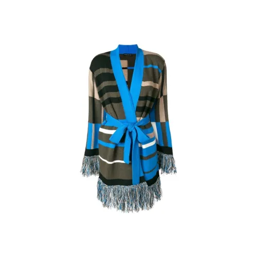 ETRO Синие Женские Свитеры