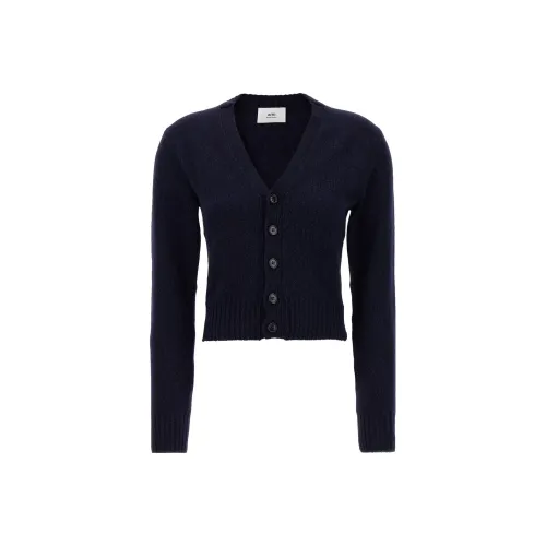 AMIPARIS Синие Женские Свитера