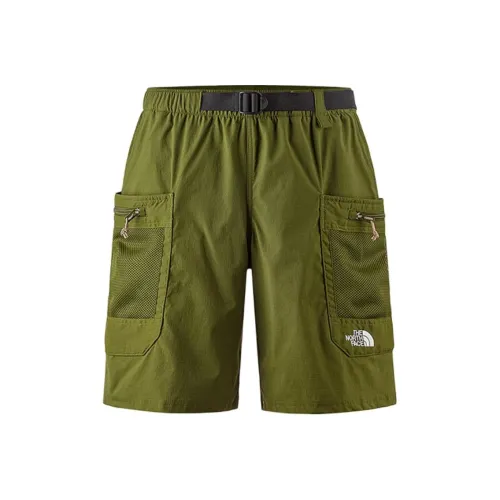 The North Face Повседневные шорты Мужские Зеленые
