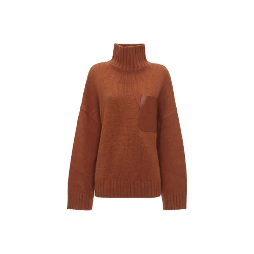 JW Anderson Коричневые Женские Свитеры