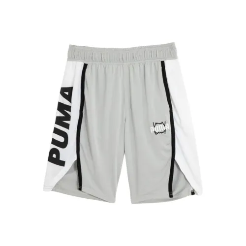 PUMA Повседневные шорты Мужские Светло-серые