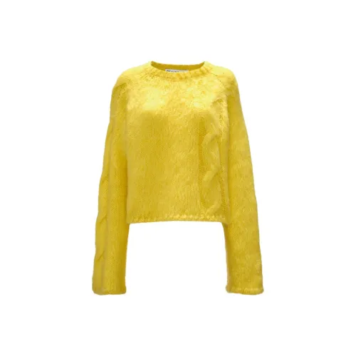 JW Anderson Желтые Женские Свитеры