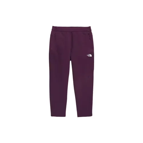 THE NORTH FACE Tekware™ Сетка Брюки Повседневные брюки Мужские Фиолетовые