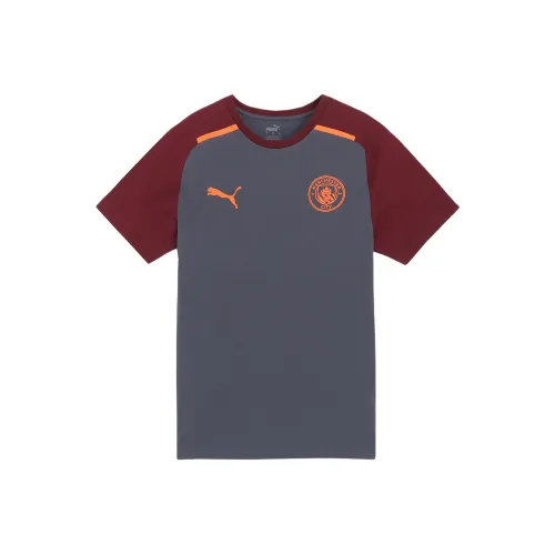 PUMA Серый Мужской Футбольный Джерси