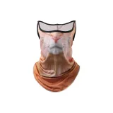 Апельсин Кошка