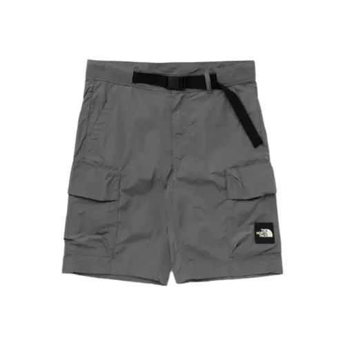 THE NORTH FACE Повседневные шорты Мужские Серые