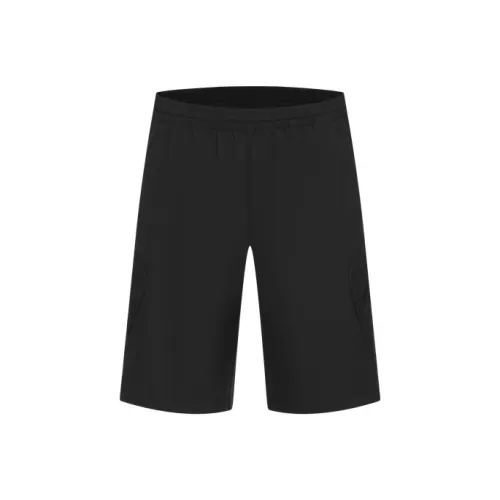 DESCENTE BLEU Мужские спортивные шорты